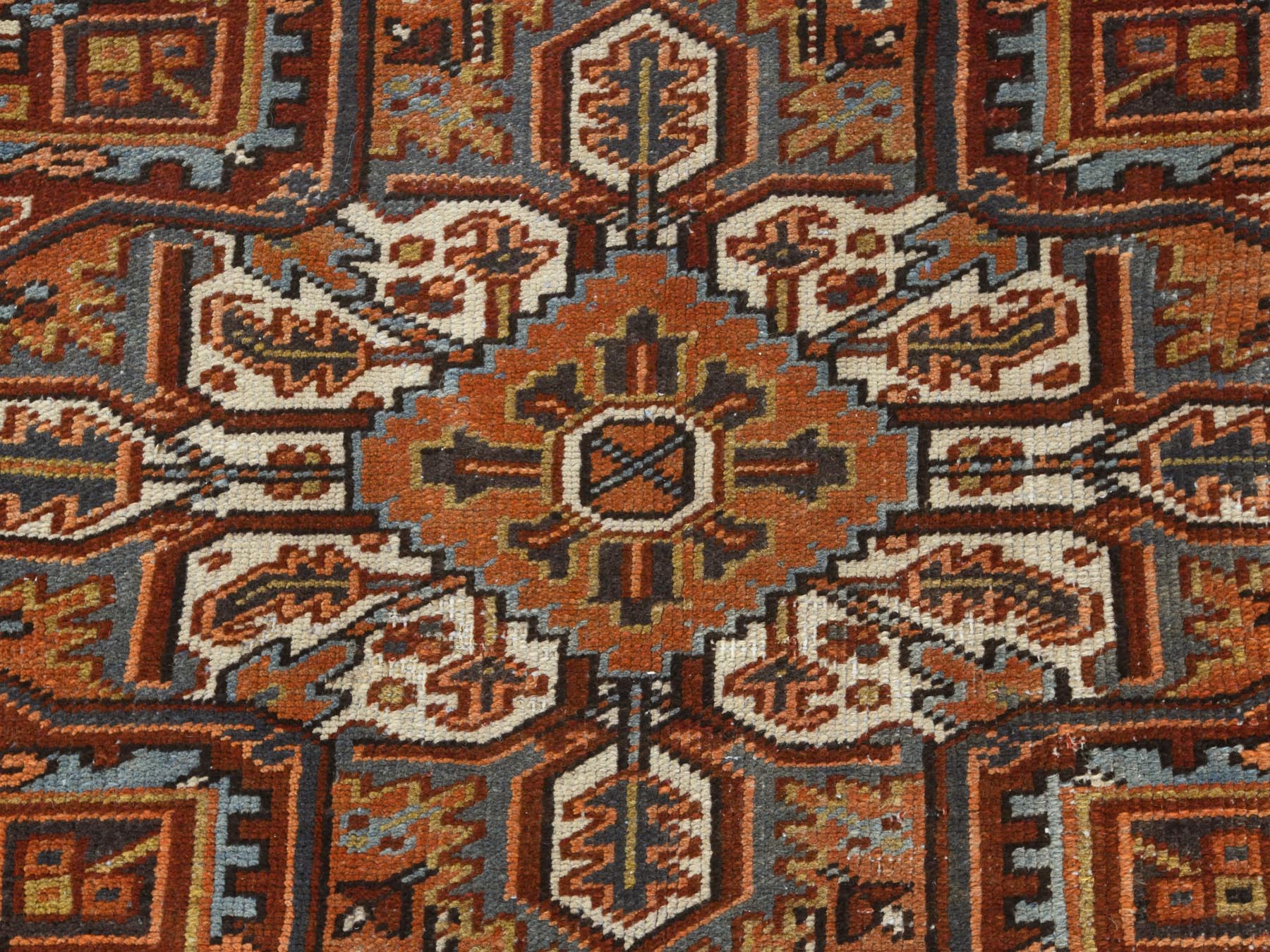 HerizRugs ORC765504